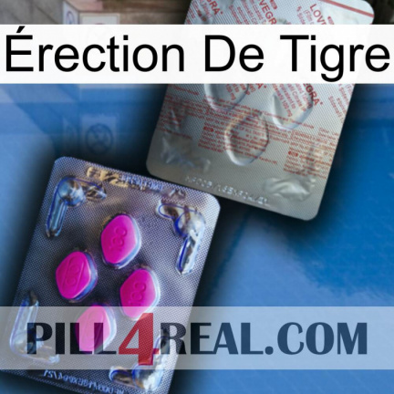 Érection De Tigre 38